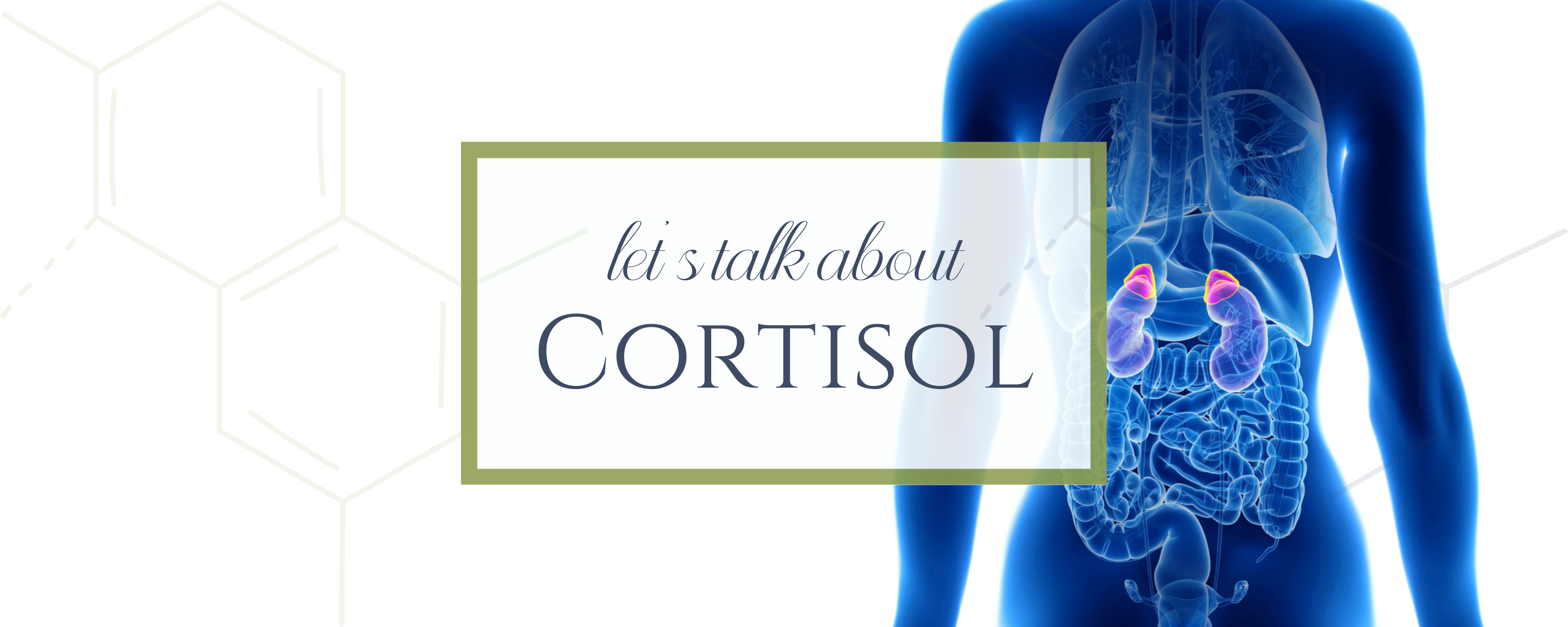 Let's Talk About Cortisol