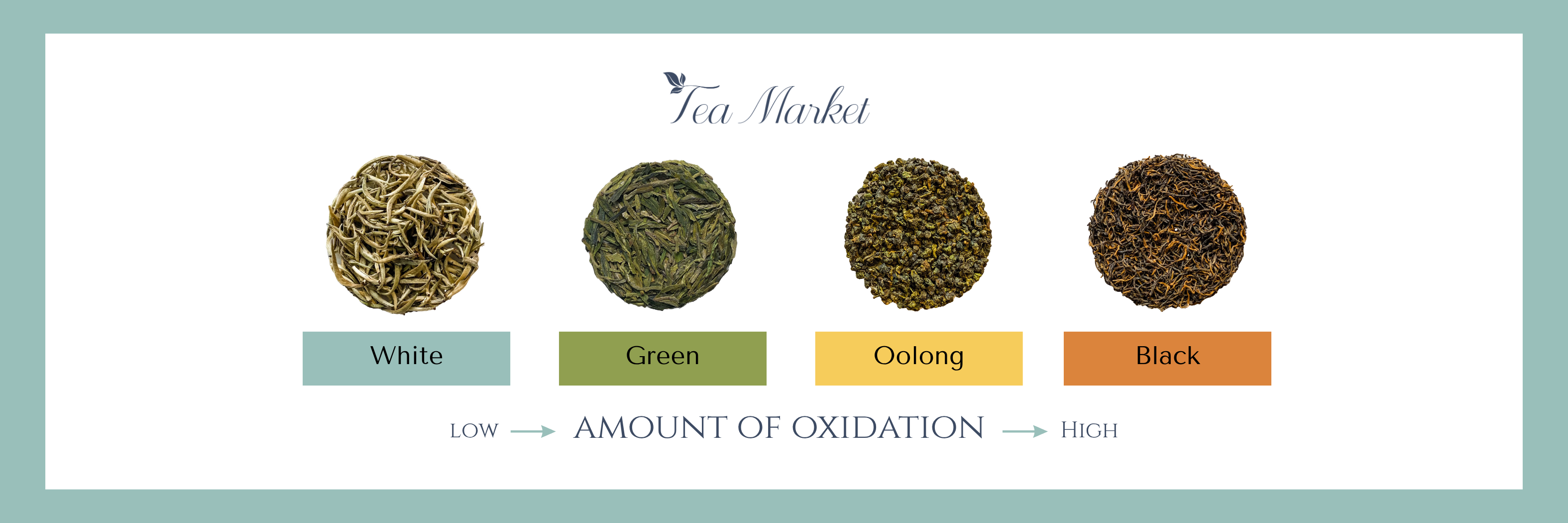 White, Green, Oolong & Black: What Your Tea Actually Does for Your Body