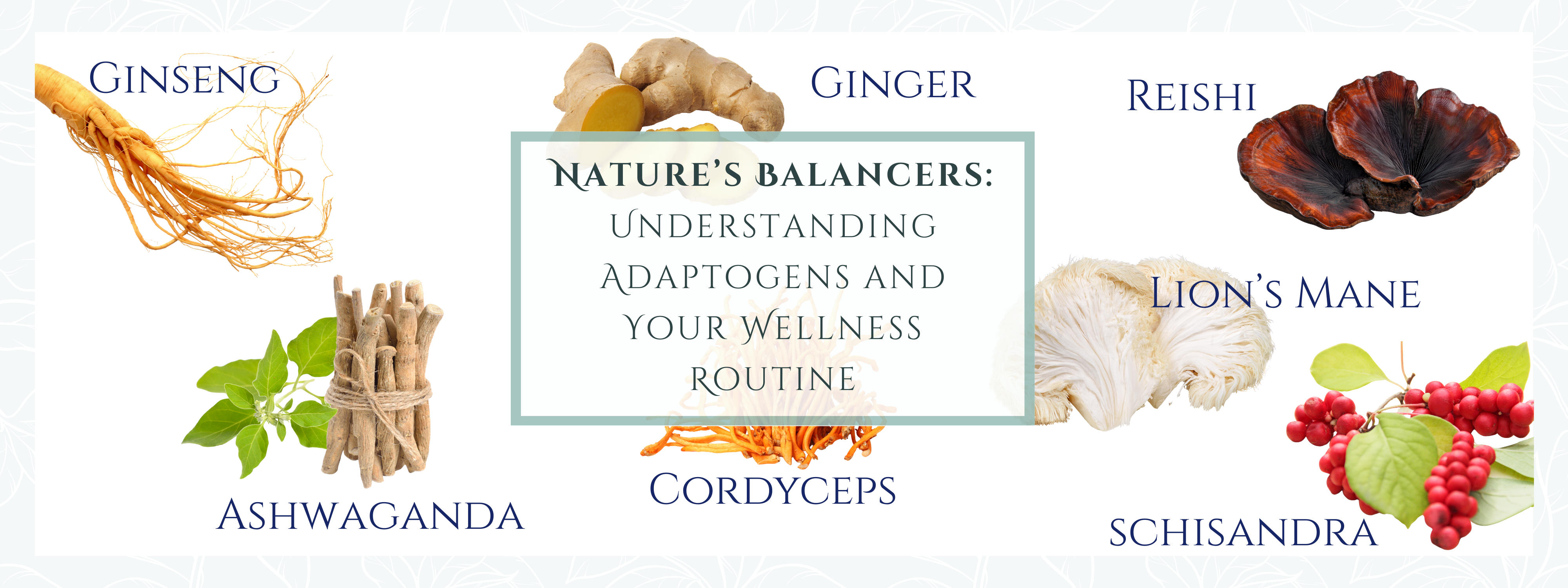 So, What are Adaptogens anyway?