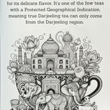 Steeped in Art Coloring Book